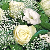 Servietter - roser & brudesl�r